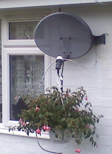 flowesr on a Sky dish