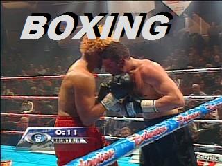 boxing feeds boxing feeds