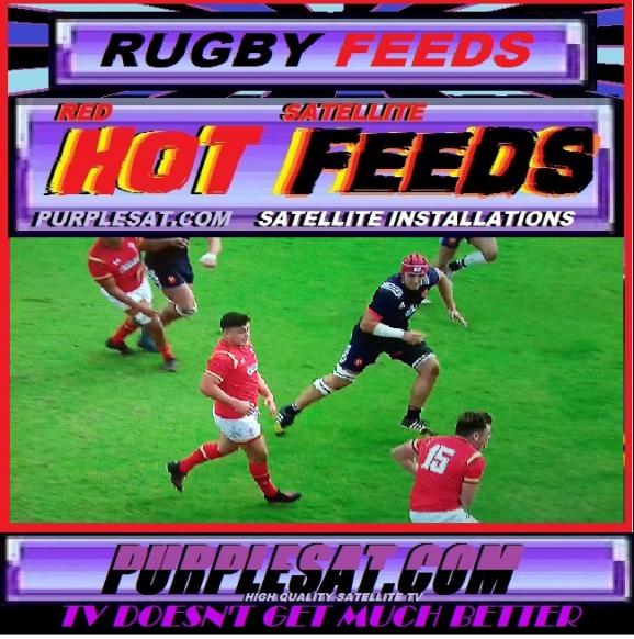 RUGBY FEEDS PURPLESAT